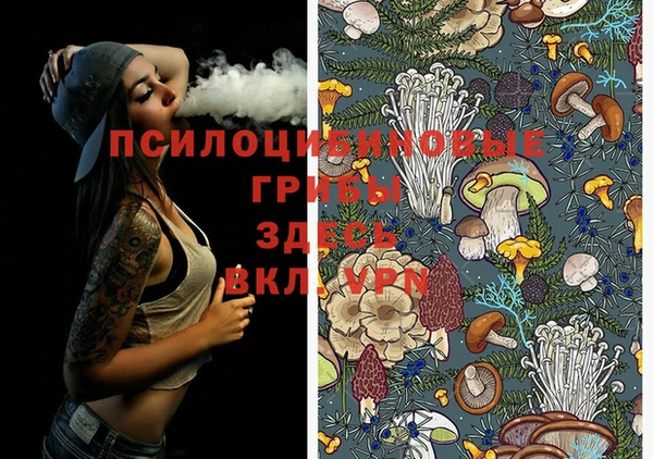 гидропоника Липки