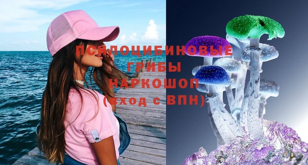 гидропоника Липки