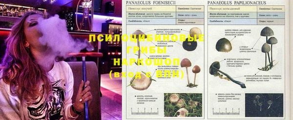 твердый Лихославль