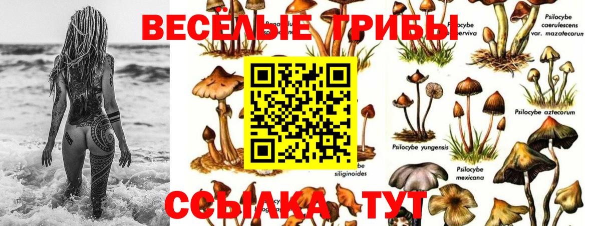 Галлюциногенные грибы Cubensis Ленинск-Кузнецкий